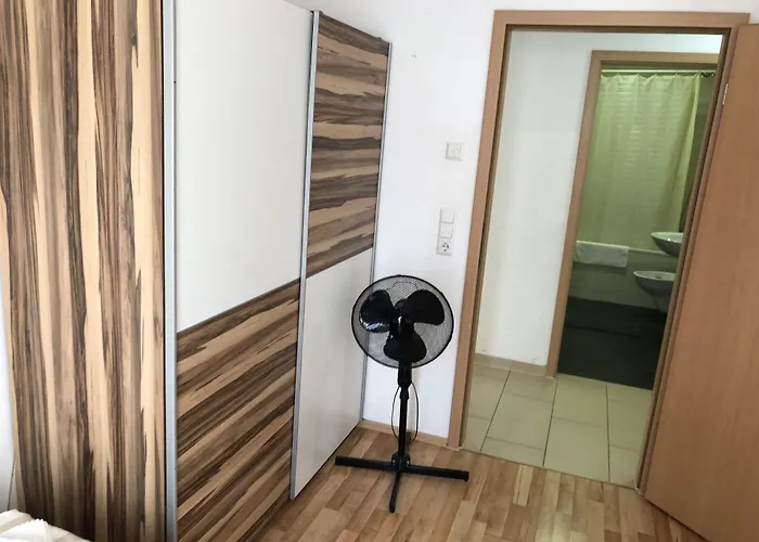 Sahara Falcon Munich