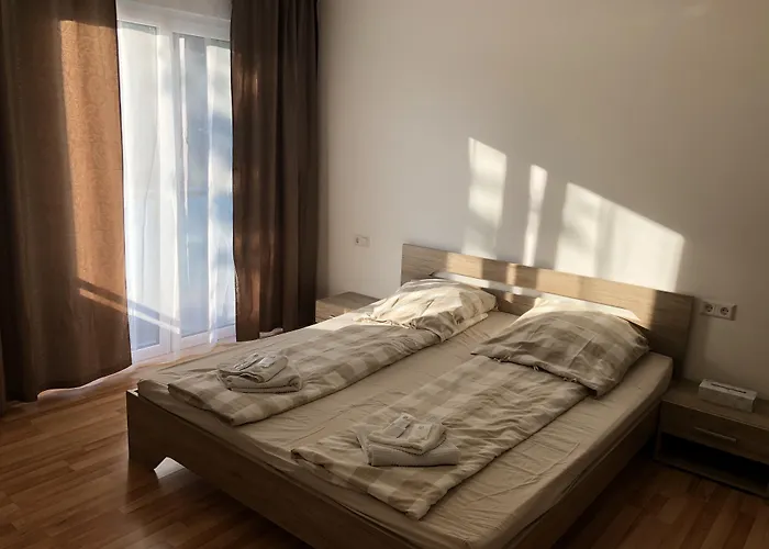 Sahara Falcon Munich