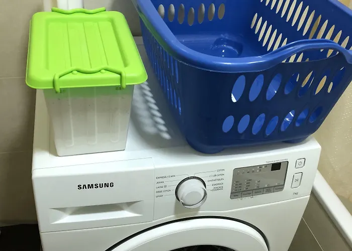 Sahara Falcon Munich