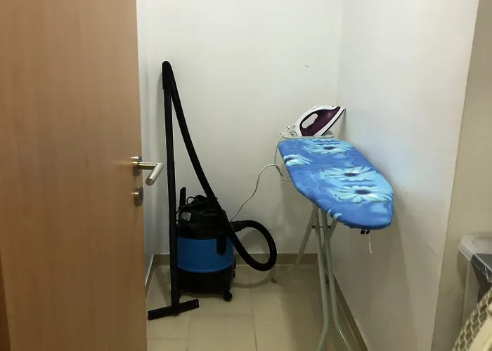 Sahara Falcon Munich