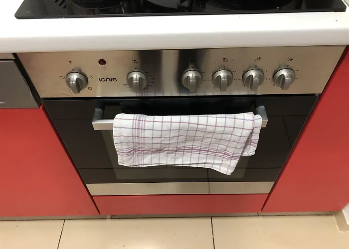 Sahara Falcon Munich