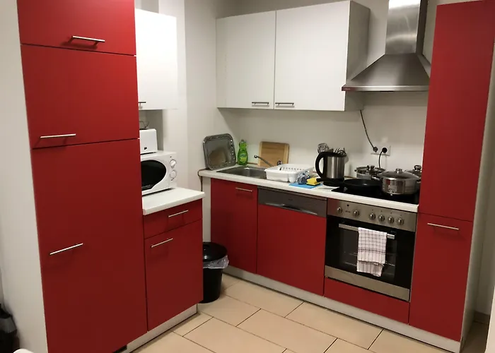 Sahara Falcon Munich