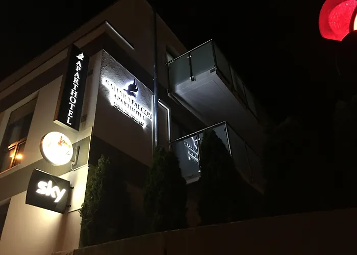 Sahara Falcon Munich